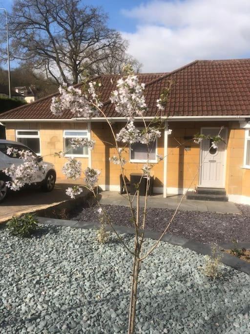 Quiet And Cosy Flat, Close To Bath Centre Exterior foto